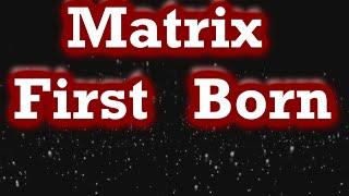 Matrix First Born.