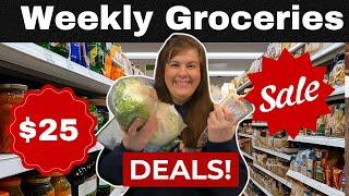 $25 GROCERY HAUL (You Won't Believe It!) Mobile Home Living
