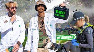 How Strong is 420 Melbourne's Bud? % Testing How Chronic Australia