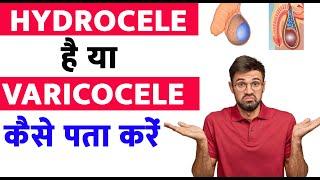 Difference Between Hydrocele and Varicocele | USG Scrotum Test