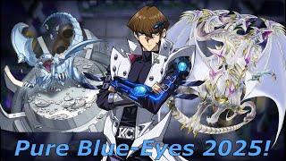 PURE BLUE-EYES DECK 2025! Destroying Meta with the new Blue-Eyes supports!