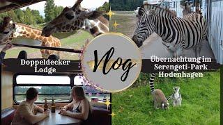 Übernachtung im SERENGETI-PARK Hodenhagen | Doppeldecker Lodge