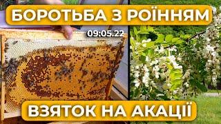 Боремось з роїнням ефективно! Підготовка до Акації.