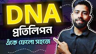 ⭐⭐⭐ DNA প্রতিলিপন প্রক্রিয়ার চিত্র আঁকার সহজ নিয়ম | HSC 2024 | Figureschool