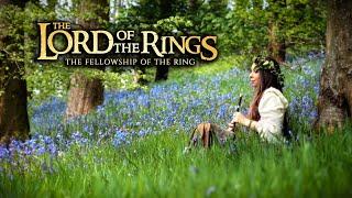 The Lord Of The Rings - Concerning Hobbits (Shire theme) beautiful middle earth music