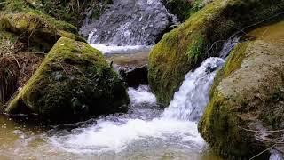 RIVER AND STREAMS FLOWS/CAD LMA #relaxingnature #relaxingscenery #relaxingviews #relaxingwaterfall