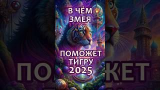 В чём повезет Тигру в 2025 год Змеи? #гороскоп  #астрология