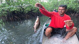 dito lang pala nag tatago sa makapal na MANGROVE Ang mga isdang ito