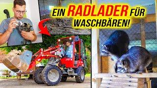 RADLADER vs. BAUSCHUTT in der SCHEUNE - Wir schaffen Platz für Waschbären! | Home Build Solution