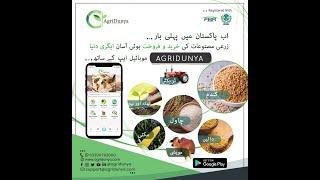 AgriDunya - Digitally Revolutionizing The Agriculture Industry In Pakistan.