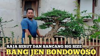 RAJA SERUT DAN SANCANG BONDOWOSO! BANG JEN