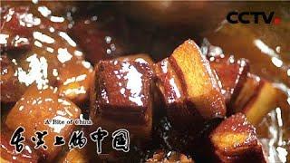 【ENG】《舌尖上的中国 》第二季 A Bite of ChinaⅡ EP5 家常【CCTV纪录】