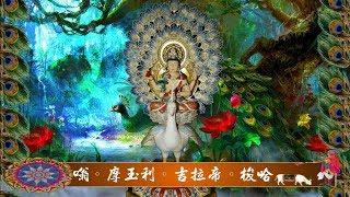 真佛宗金剛歌 「孔雀明王心咒」Mahamayuri Mantra