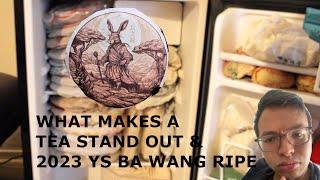 What Makes A Tea Stand Out & 2023 Yunnan Sourcing Bawang Ripe Pu'erh [Inbetweenisode 361]