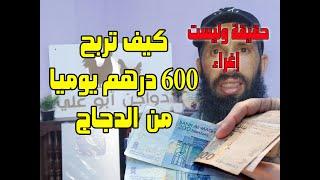 خطة ربح 600 درهم يوميا من تربية الدجاج البلدي بغرض إنتاج البيض لكن إسمع للآخر ...!!!!؟؟