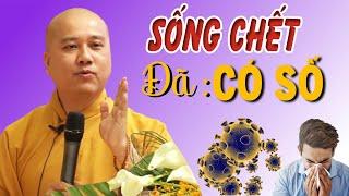 Sống Chết Đã Có Số, Nghiệp Đến Không Sao Tránh Khỏi Được ( Rất hay  ) _Thầy Thích Pháp Hòa