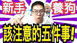 「新手養狗」該注意的五件事！如果做不到的話就不要養狗狗！| 寒假日更#10【雞腿 狗知識#4】