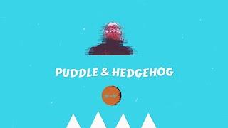 PUDDLE & HEDGEHOG *-* @BandcampOddities