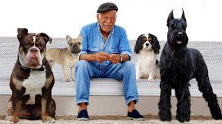 The 10 Best Dog Breeds For Seniors