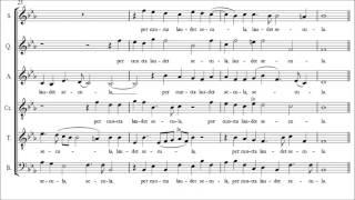 Byrd | O lux, beata Trinitas [á 6; The Sixteen]