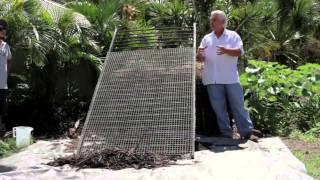 Paul Taylor's permaculture vision for a sustainable future