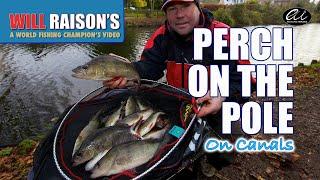 Perch Fishing On The Pole | Will Raison Fishing