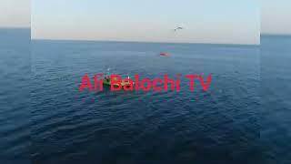 Ali Balochi TV #72 Balochistan balochi song