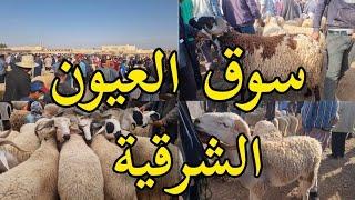 سوق العيون سيدي ملوك انخفاض أسعار الكبش العيد