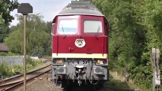 Ludmilla der LEG Br132 158-7 mit alten Lüftern ausfahrt in Suchsdorf und Br202 483-4 der WFL!