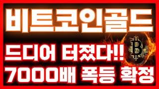 [비트코인골드 코인]드디어 터졌다!!7000배 폭등 확정!!월요일 기대하세요!!#비트코인골드 #비트코인