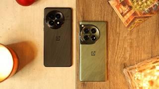 Oneplus 13 vs Oneplus 12 Camera Comparison!