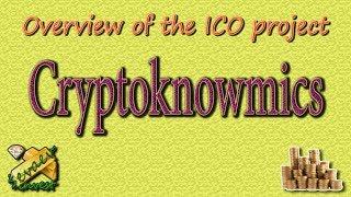 Cryptoknowmics / Overview of the company.