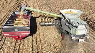 CANADIAN FARMER - BIG GUNS - SHORTEST TRIP EVER  Corn harvest right in their backyard. BIG equipment