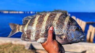 Sheepshead Fishing Was TOUGH Until I Switched To THIS!