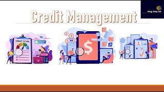 SAP Credit Management By Nag #SAPSD  #SAPHANA