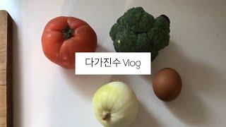 다가진수 브이로그 #3 | 도시락 싸서 출근하기 그리고 김치치즈볶음밥