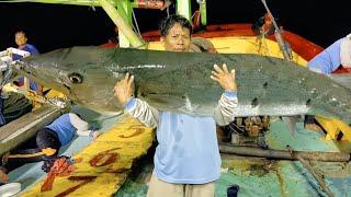 Pemancing Mana Yang Gak Tergoda‼️Sekali Strike, Cukup Untuk Makan Seminggu - Cupliz Ahmad