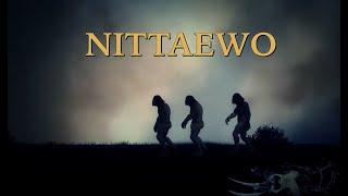 Nittaewo - An Unsolved Mystery | Sri Lanka