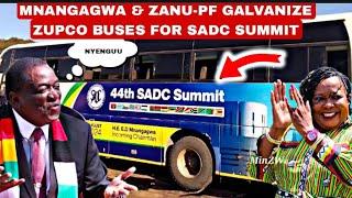 ChakachayaHonai Mnangagwa & Zanu-PF galvanize zupco buses for sadc summit citizens vazviramba