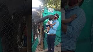 Aadi at Nandankanan zoo with his papa