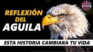 REFLEXION DEL AGUILA - UNA HISTORIA QUE CAMBIARA TU VIDA PARA SIEMPRE