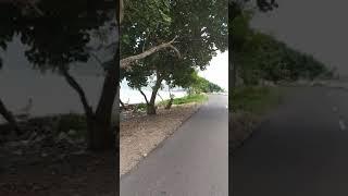Pesona Teluk Lampung
