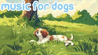 10 HOURS OF RELAX MY DOG MUSIC! Long Video of Relaxing Dog Therapy Music! 
