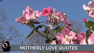 Motherly Love Quotes by Unknown Authors: Wolfgang Riebe