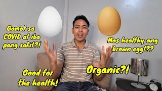 IT'S ALL ABOUT EGGS Ep. 2: Ano ang mas masustansya, brown egg o white egg?