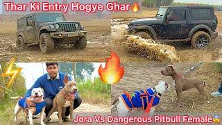 Thar Ki Entry Hogye GharAta He Off-Roading Krna Le Gye || Jora Meet Dangerous Pitbull Female Dog