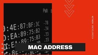 MAC Address - Network Encyclopedia