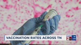 Vaccination rates across Tennessee