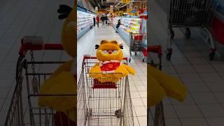 Look who’s CNY shopping at RT-Mart #garfield #rtmart