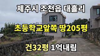 제주시 조천읍 대흘리 초등학교 맞은편 주택가 토지205평 + 21평 건물32평 1억인하 급매물 #제주도부동산매매 #제주토지 #제주도급매토지 #제주도저렴한토지